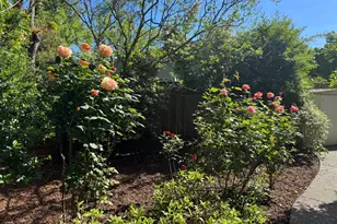 406 Corrillo Dr, San Rafael, CA 94903 - Photo 29