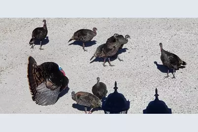 425 Lake Vista Drive, Lakeport, CA 95453 - Photo 97