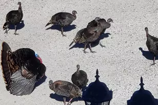 425 Lake Vista Dr, Lakeport, CA 95453 - Photo 97