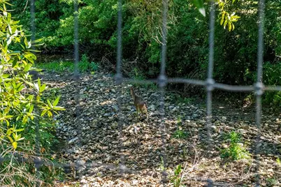 2608 W Pueblo Avenue, Napa, CA 94558 - Photo 39