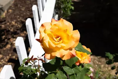 1440 Tammy Way, Santa Rosa, CA 95401 - Photo 3