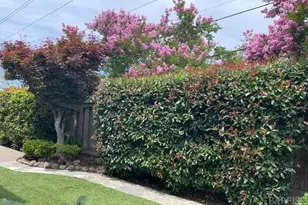 2147 Westward Pl, Martinez, CA 94553 - Photo 35
