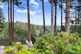8950 Hwy 116, Forestville, CA 95436 - Photo 41