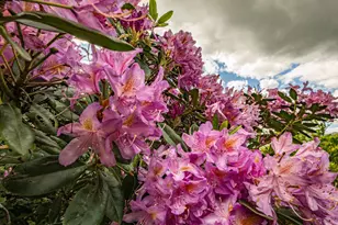 1925 Vintage Ln, Fairfield, CA 94534 - Photo 81