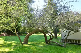 30860 Simpson Ln, Fort Bragg, CA 95437 - Photo 31