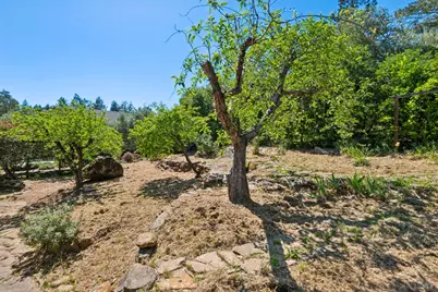 1475 Los Olivos Road, Santa Rosa, CA 95404 - Photo 47
