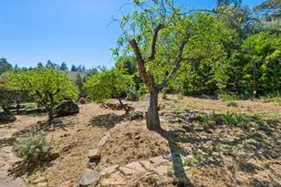 1475 Los Olivos Rd, Santa Rosa, CA 95404 - Photo 47