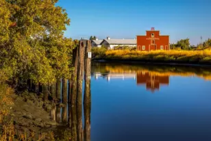 512 Keller St, Petaluma, CA 94952 - Photo 49