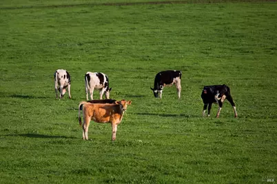 512 Keller Street, Petaluma, CA 94952 - Photo 45