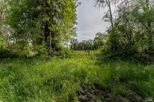 24271 Shady Ln, Covelo, CA 95428 - Photo 57
