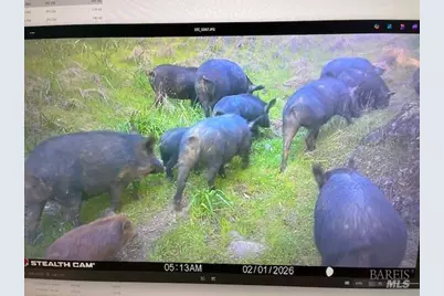 17707 Rockpile Road, Geyserville, CA 95441 - Photo 23