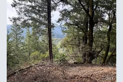 17707 Rockpile Road, Geyserville, CA 95441 - Photo 3