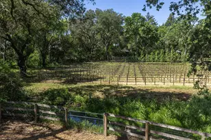 3000 Silverado Trail, Napa, CA 94558 - Photo 3