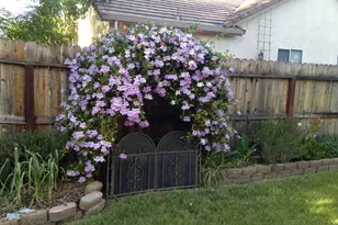 2913 Willow Ct, Fairfield, CA 94533 - Photo 47