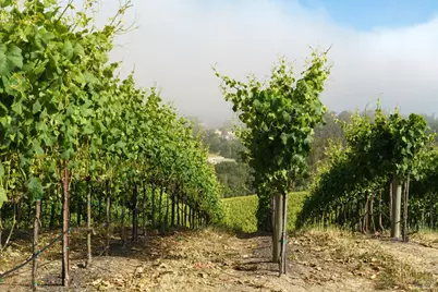 5215 Blank Road, Sebastopol, CA 95472 - Photo 3