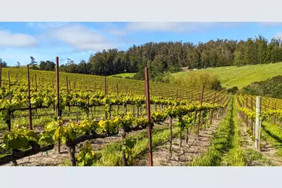 5215 Blank Road, Sebastopol, CA 95472 - Photo 11