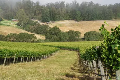 5215 Blank Road, Sebastopol, CA 95472 - Photo 7