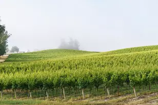 5215 Blank Rd, Sebastopol, CA 95472 - Photo 1