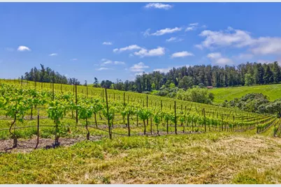 5215 Blank Road, Sebastopol, CA 95472 - Photo 23