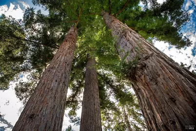 7949 Tocchini Street, Sebastopol, CA 95472 - Photo 17