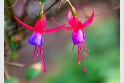 7949 Tocchini Street, Sebastopol, CA 95472 - Photo 33