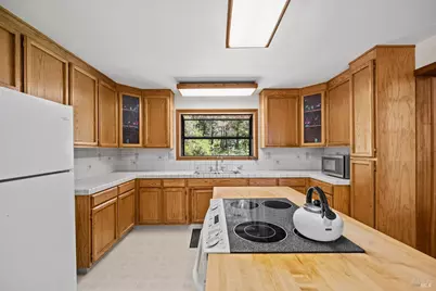 46320 Iversen Road, Point Arena, CA 95468 - Photo 11
