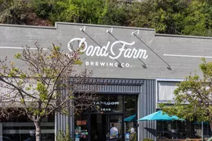 159 Terrace Ave, San Rafael, CA 94901 - Photo 49