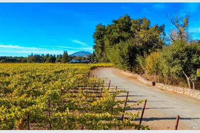 [Address not provided], Saint Helena, CA 94574 - Photo 9