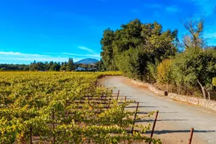 [Address not provided], Saint Helena, CA 94574 - Photo 9