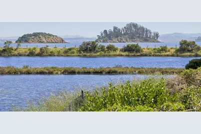 255 Baypoint Drive, San Rafael, CA 94901 - Photo 59