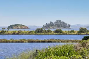 255 Baypoint Dr, San Rafael, CA 94901 - Photo 59