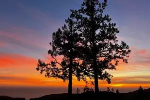 3100 Muniz Ranch Rd, Jenner, CA 95450 - Photo 55