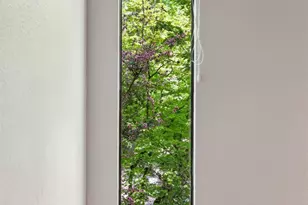 19167 Robinson Rd, Sonoma, CA 95476 - Photo 37