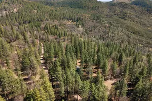 8207 Harrington Flat, Kelseyville, CA 95451 - Photo 49