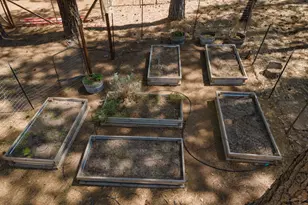 8207 Harrington Flat, Kelseyville, CA 95451 - Photo 45