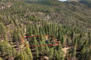 8207 Harrington Flat, Kelseyville, CA 95451 - Photo 41