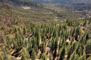 8207 Harrington Flat, Kelseyville, CA 95451 - Photo 43