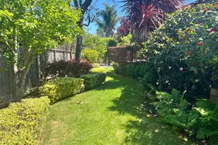 [Address not provided], Mill Valley, CA 94941 - Photo 23