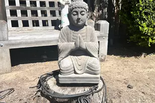 [Address not provided], Mill Valley, CA 94941 - Photo 21