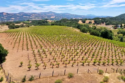 0 Dutcher Creek Road, Healdsburg, CA 95448 - Photo 21