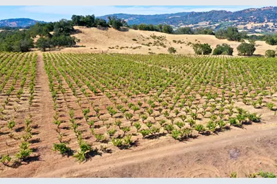 0 Dutcher Creek Road, Healdsburg, CA 95448 - Photo 57