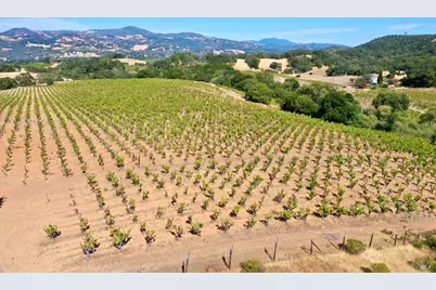 0 Dutcher Creek Road, Healdsburg, CA 95448 - Photo 51