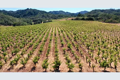 0 Dutcher Creek Road, Healdsburg, CA 95448 - Photo 45