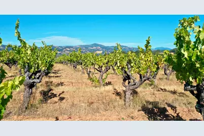 0 Dutcher Creek Road, Healdsburg, CA 95448 - Photo 63