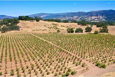 0 Dutcher Creek Road, Healdsburg, CA 95448 - Photo 35