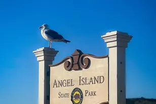 152 Blackfield Dr, Tiburon, CA 94920 - Photo 53