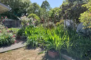 7149 Lynch Rd, Sebastopol, CA 95472 - Photo 25