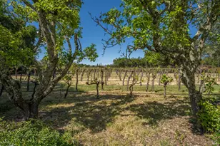 18320 Carriger Rd, Sonoma, CA 95476 - Photo 15