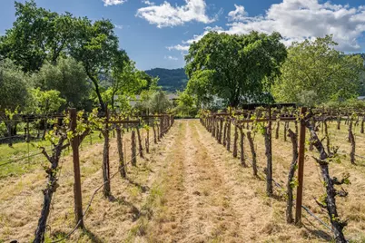 18320 Carriger Road, Sonoma, CA 95476 - Photo 17