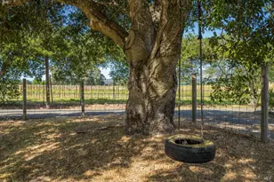 18320 Carriger Rd, Sonoma, CA 95476 - Photo 19